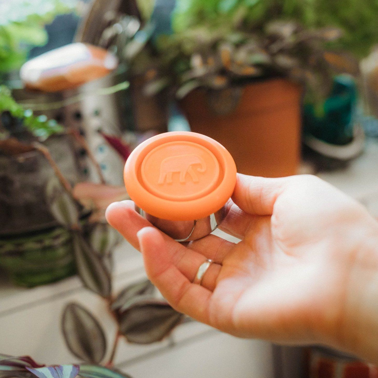 Elephant Box Seal & Go twin dressing pot image 0