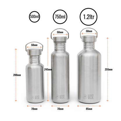 Stainless Steel Single-Wall Bottle 500 ml